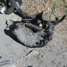 28062011vub162ffaktivnews_76.jpg