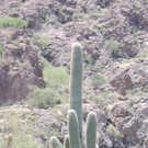 Canyon Lake 025.JPG
