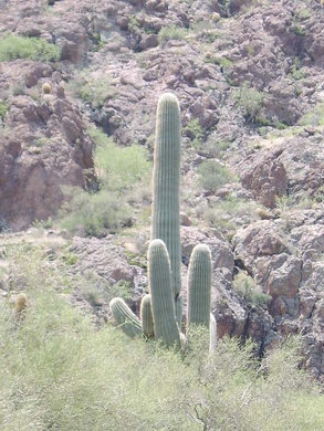 Canyon Lake 025.JPG
