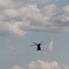 normal_29062011landwirtffaktivnews_62.jpg