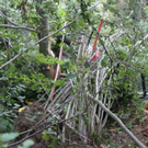 normal_29062011landwirtffaktivnews_68.jpg