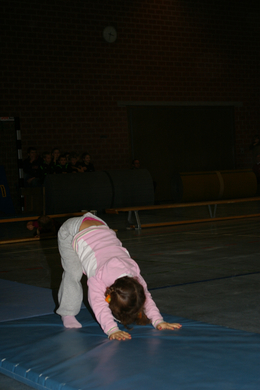 bea_Nikoloturnen 082.jpg
