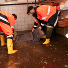 HochwasserGrossgmain30061105.jpg