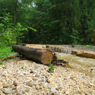 30062011fmt_ueberflutunglatschenwirt_mw_06.JPG