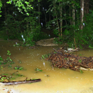 30062011fmt_ueberflutunglatschenwirt_mw_09.JPG