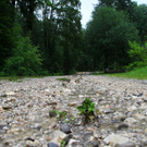 30062011fmt_ueberflutunglatschenwirt_mw_18.JPG