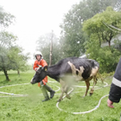 normal_30062011brandffaktivnews_035.jpg