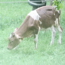 normal_30062011brandffaktivnews_141.jpg