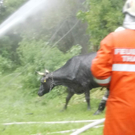 normal_30062011brandffaktivnews_153.jpg