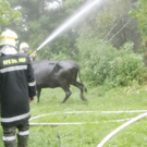 normal_30062011brandffaktivnews_155.jpg