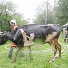 normal_30062011brandffaktivnews_036.jpg