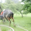 normal_30062011brandffaktivnews_041.jpg