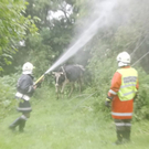 normal_30062011brandffaktivnews_144.jpg