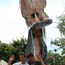 IMG_5264.JPG