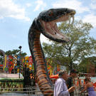IMG_5326.JPG