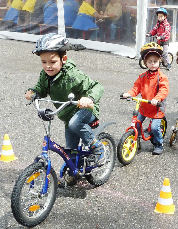 Fest23_jpg-1309463613