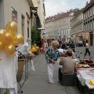 fgh 055.JPG