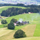 30062011brandluftbildershaktivnews_20_15_.jpg