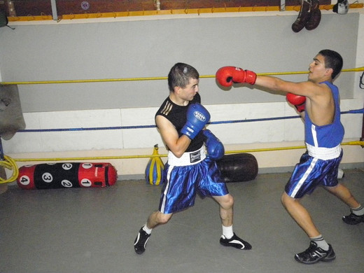 P6201001 - Kopie.JPG