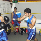 P6201005 - Kopie.JPG