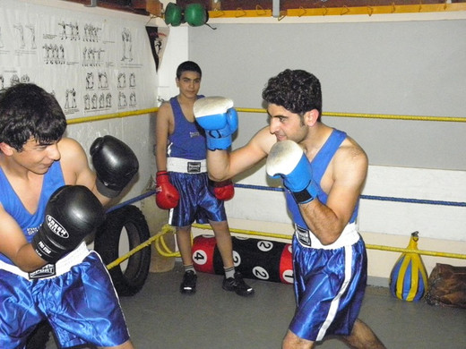 P6201005 - Kopie.JPG