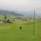 IMG_6801_JPG-1309553233