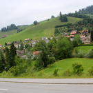IMG_6803_JPG-1309553284