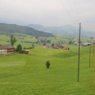 IMG_6801_jpg-1309554044