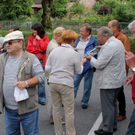 IMG_6936_jpg-1309554145