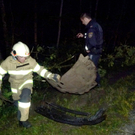 01072011vub156hthaktivnews_08.jpg