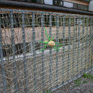 IMG_3104_jpg-1309636329