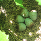 IMG_8646_JPG-1309685035