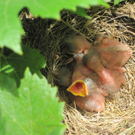 IMG_8765_JPG-1309685114