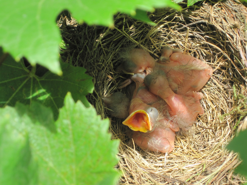 IMG_8765_JPG-1309685114