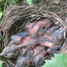 IMG_8869_JPG-1309685260