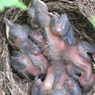 IMG_8868_JPG-1309685286