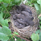 IMG_8972_JPG-1309685394