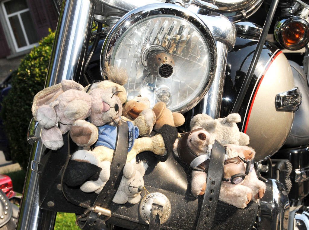 Biker H__chst 02_07_2011 72_jpg-1309684532