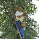IMG_6842_jpg-1309696725