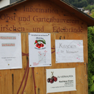 IMG_6798_jpg-1309696593