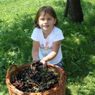 IMG_6823_jpg-1309696651