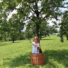 IMG_6827_jpg-1309696673