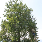 IMG_6844_jpg-1309696746