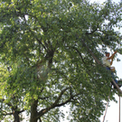 IMG_6846_jpg-1309696768