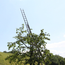 IMG_6860_jpg-1309696949