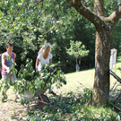 IMG_6866_jpg-1309697021