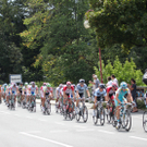 IMG_9135aa_jpg-1309704987