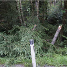 Bilder vom Unfallort in OÖ