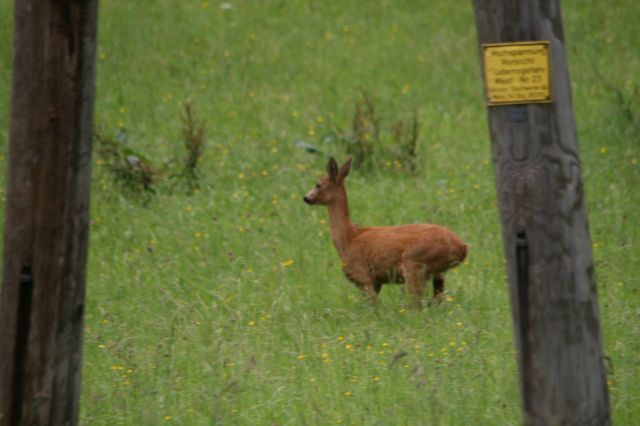 normal_03072011reheffaktivnews_07.jpg