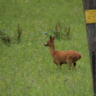 normal_03072011reheffaktivnews_07.jpg